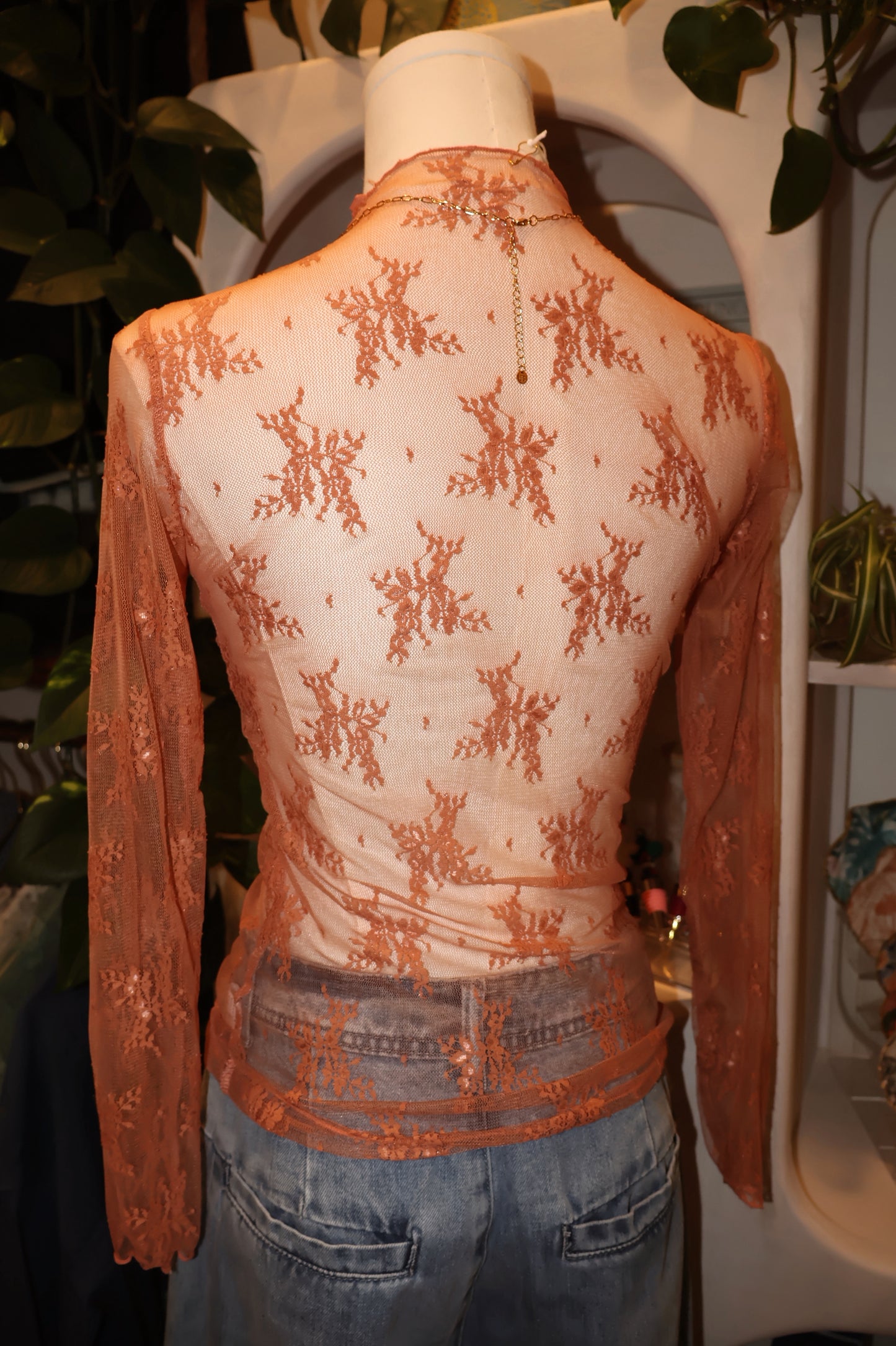 Sheer Lace Long Sleeve Top