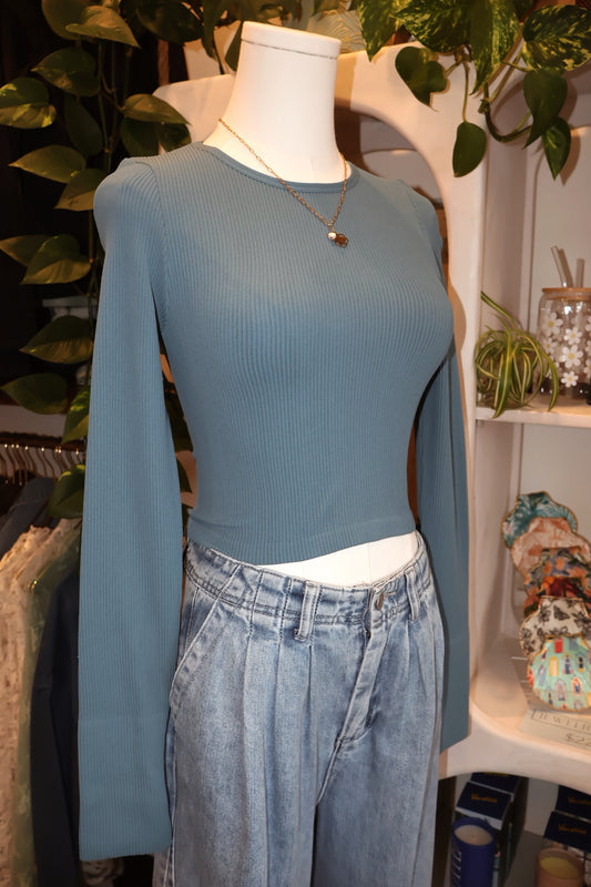 Seamless Ribbed Longsleeve Crop Top