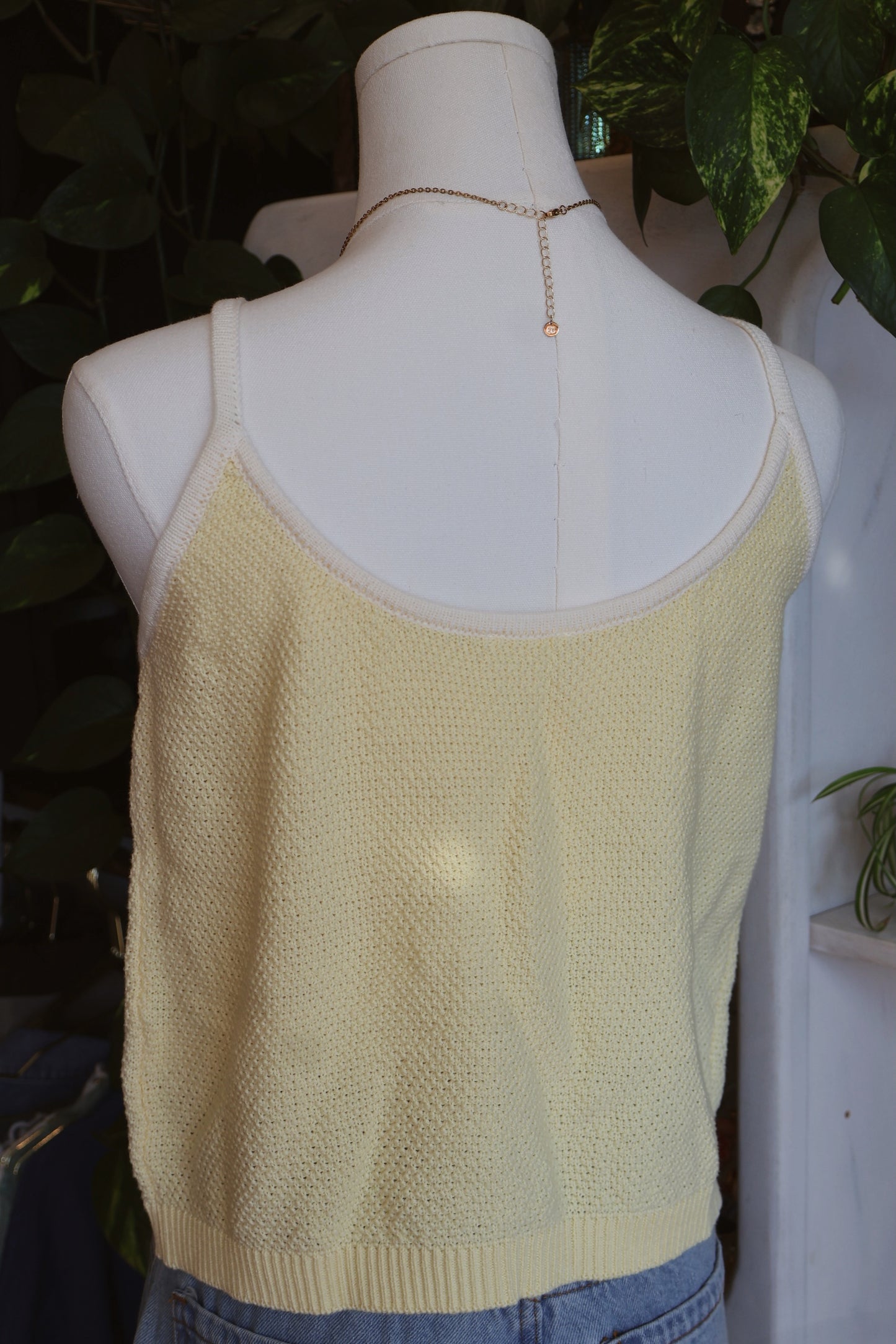 Yellow Bow Tank