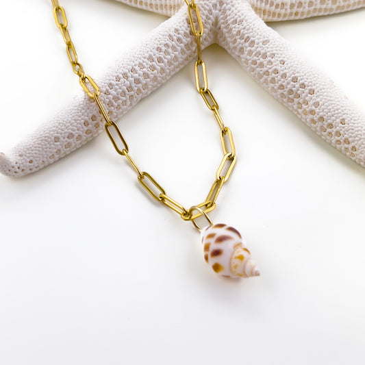 Conch Seashell Necklace