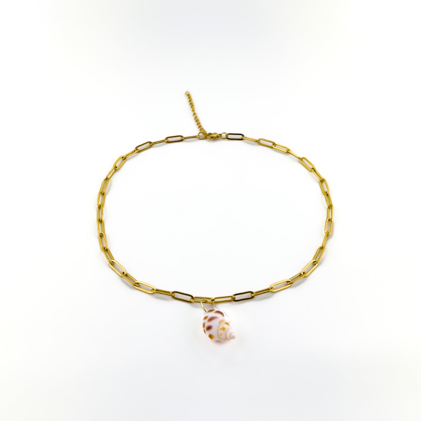 Conch Seashell Necklace