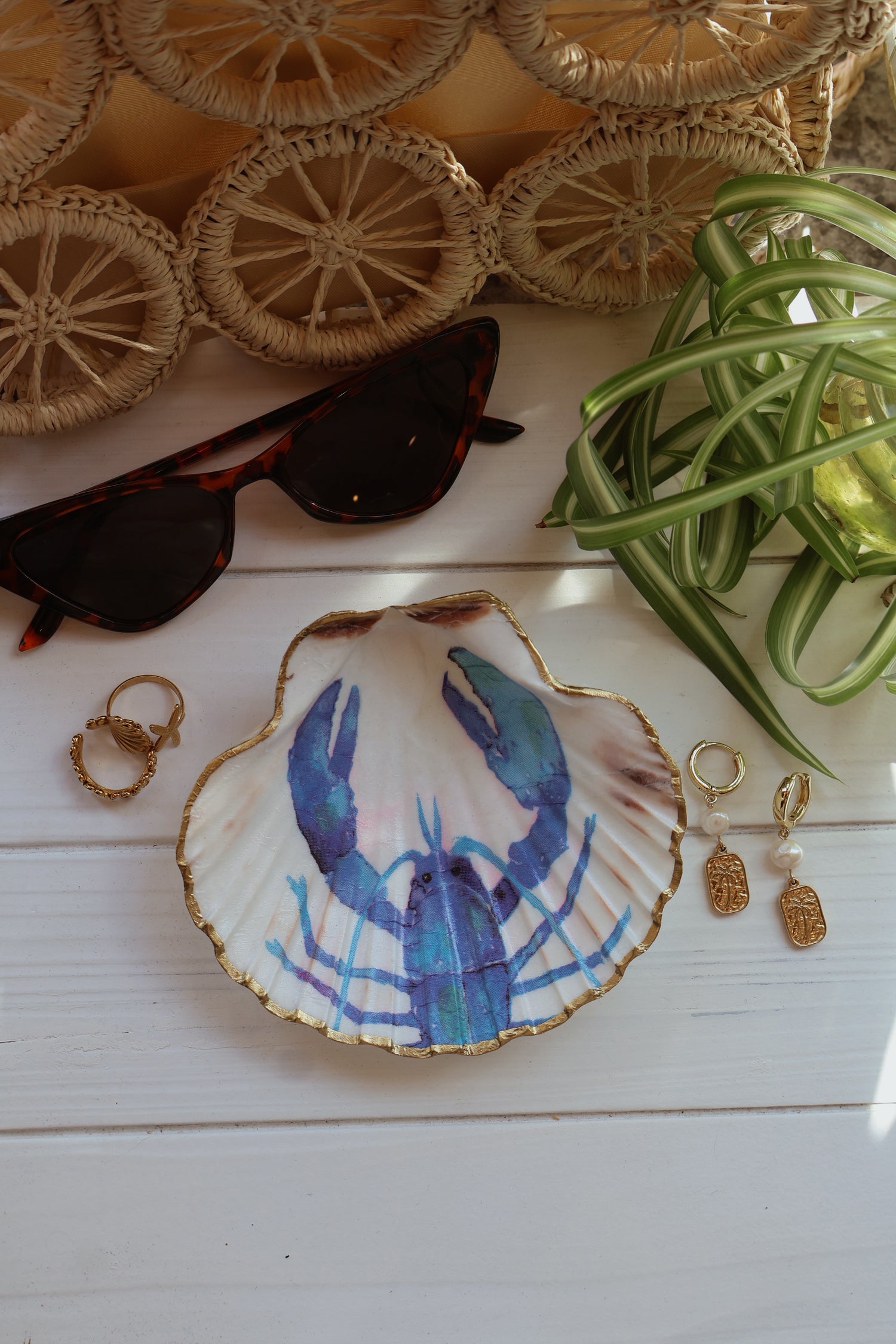 Seashell Jewelry Dishes