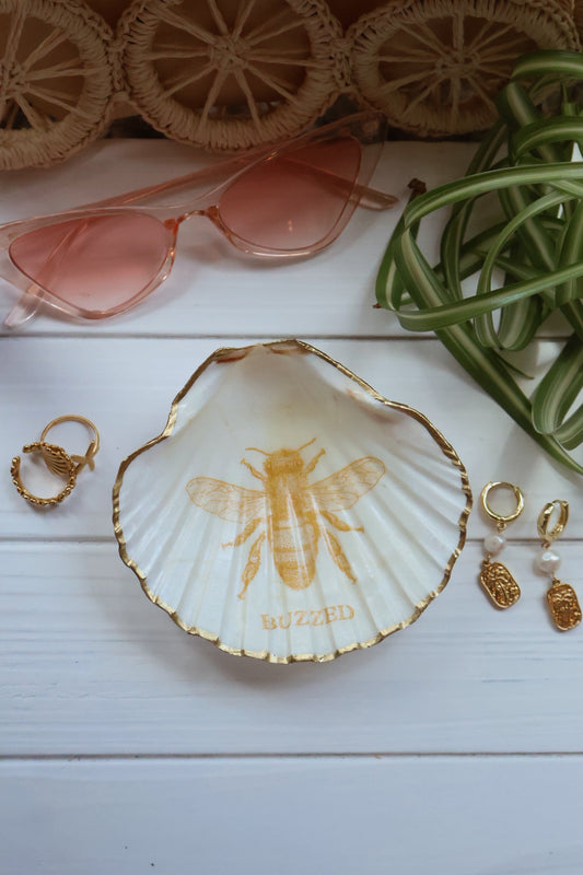Buzzed Seashell Jewelry Dish