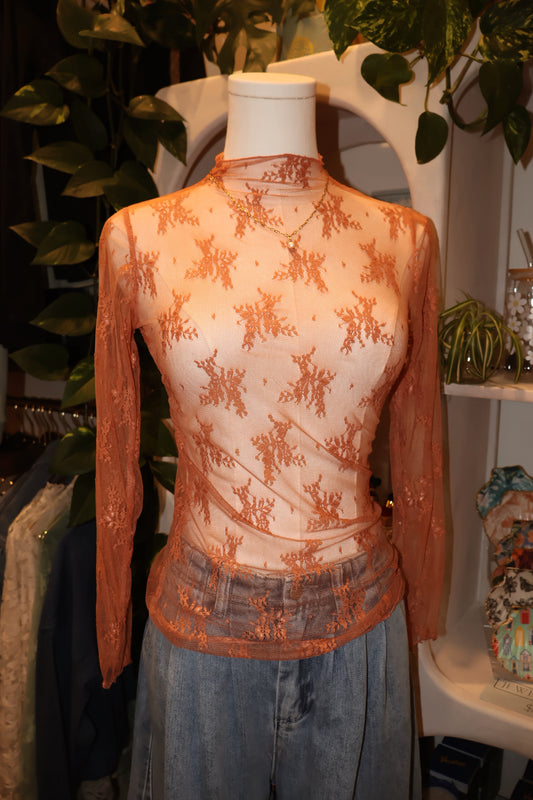 Sheer Lace Long Sleeve Top