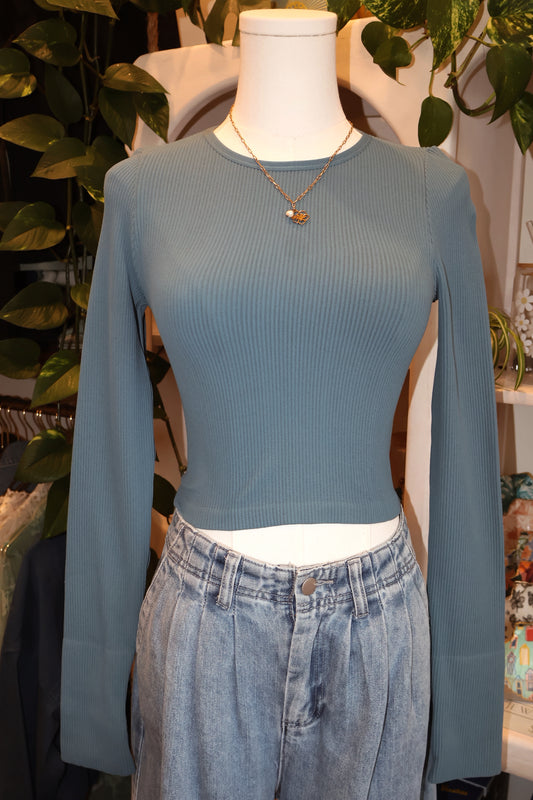 Seamless Ribbed Longsleeve Crop Top
