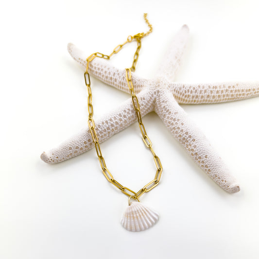 White Seashell Necklace