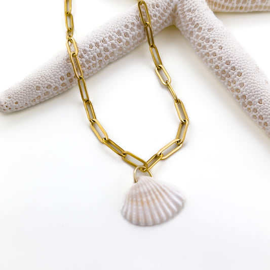 White Seashell Necklace