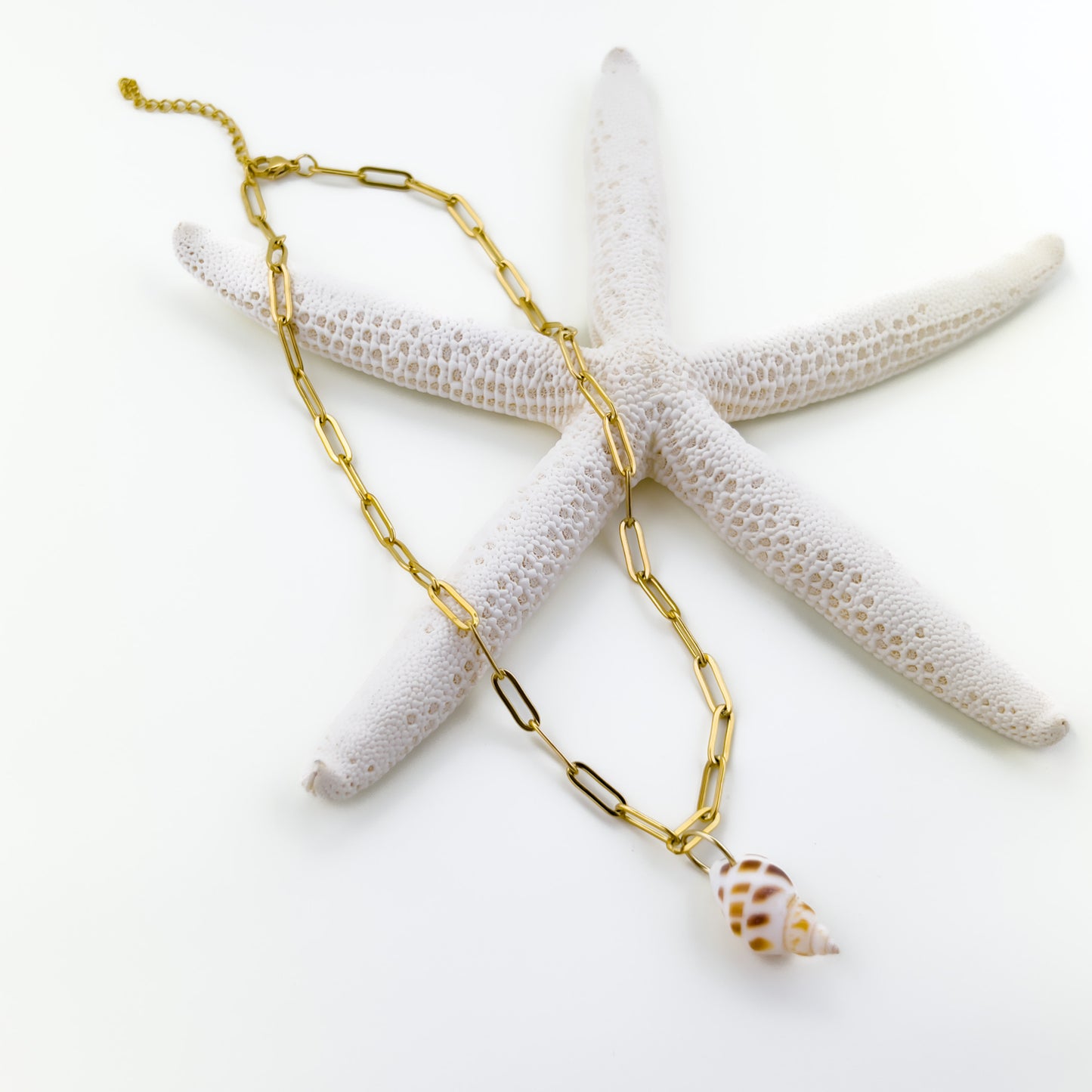 Conch Seashell Necklace