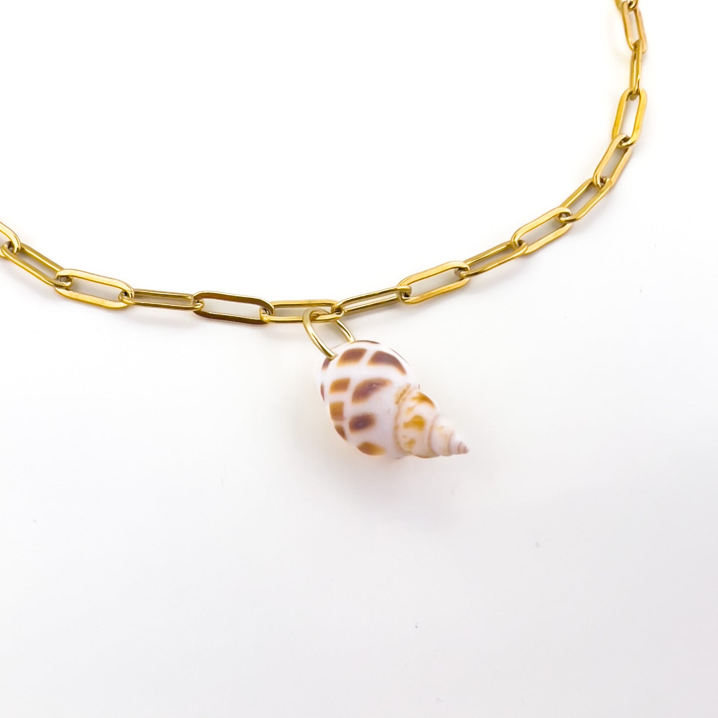 Conch Seashell Necklace