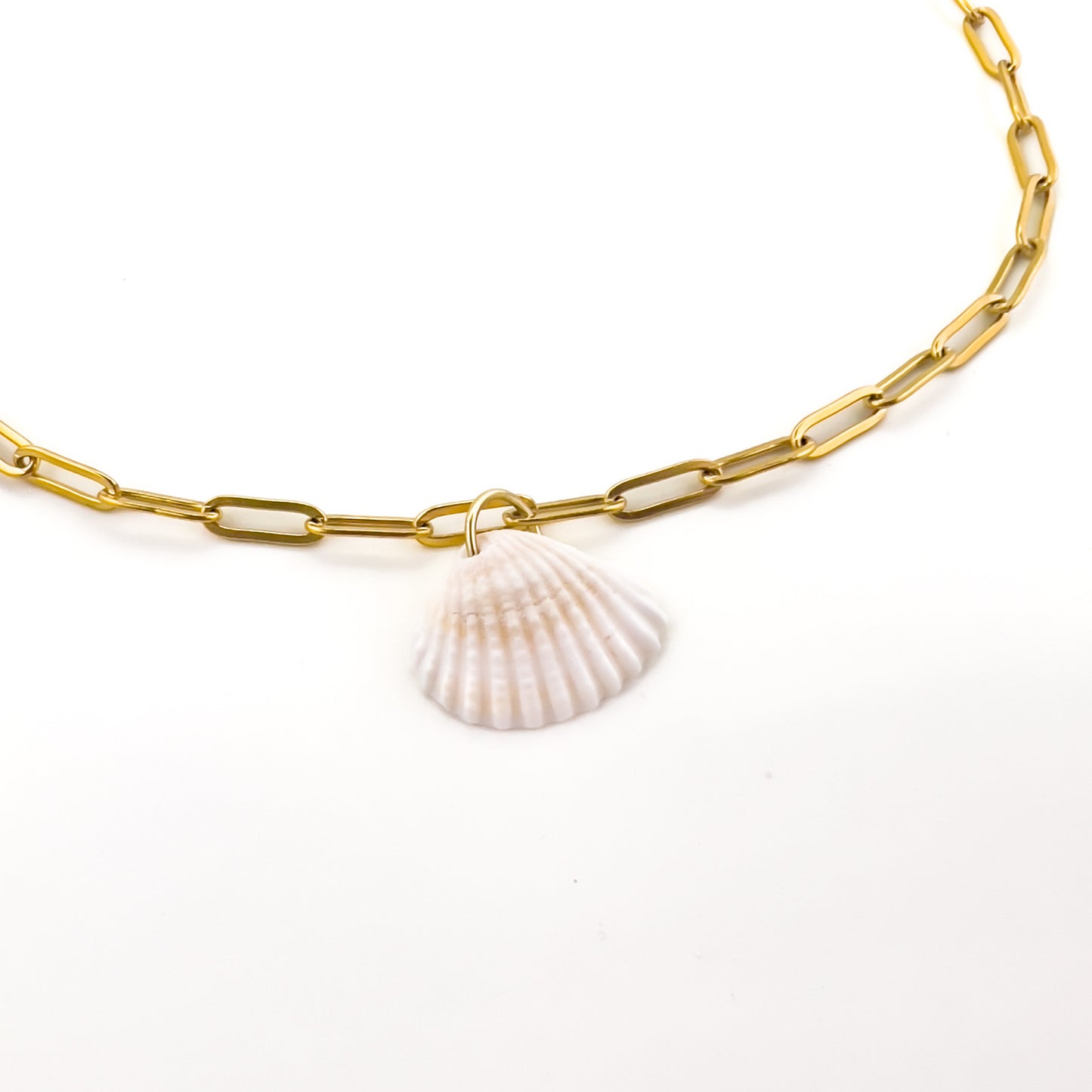 White Seashell Necklace